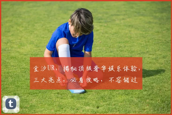 金沙UR，揭秘顶级奢华娱乐体验，三大亮点，必看攻略，不容错过